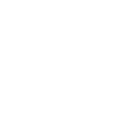 Nosom Label Logo